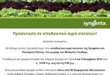 Αποδεικτικός Αγρός Σαλατών της Syngenta